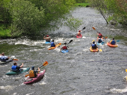 Group of kayak racers on the river